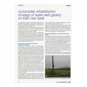 Sustainable rehabilitation strategy of water well gallery on Elbe river bank WATER SOLUTIONS, 2016